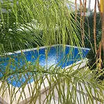Castillitos En El Aire En Lo Alto Del Montgo-Denia-Piscina