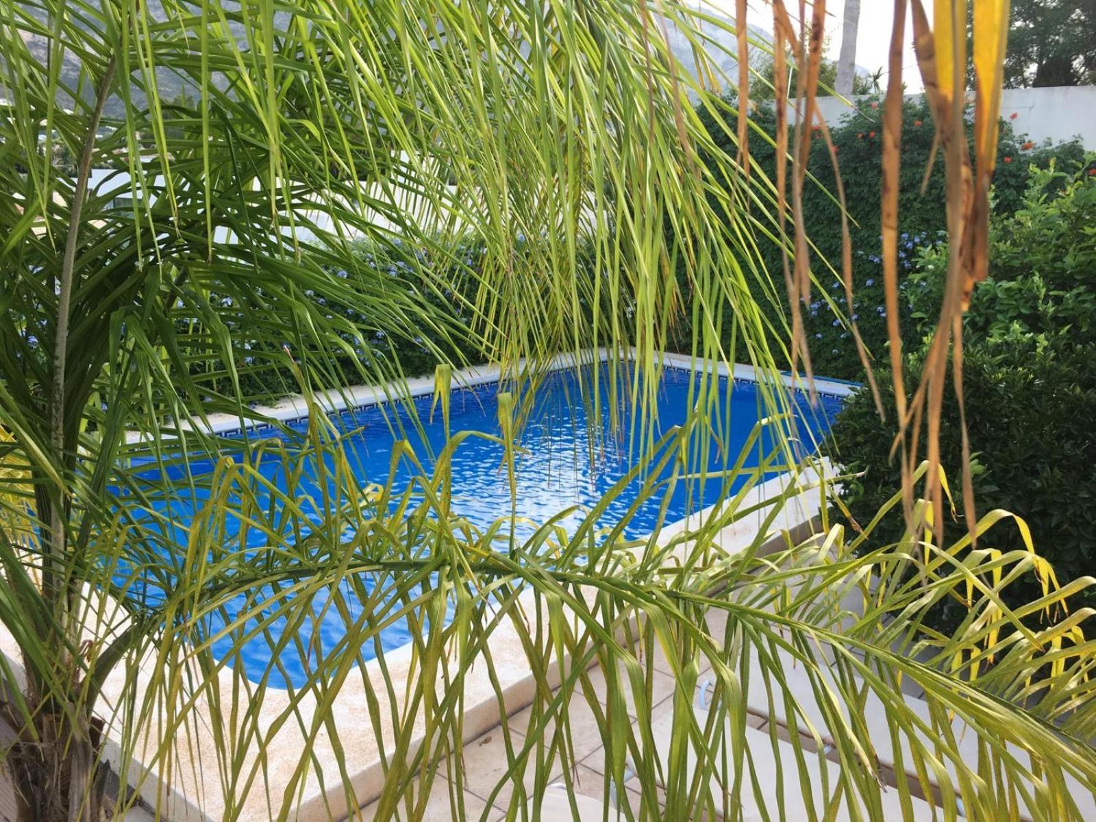 Castillitos En El Aire En Lo Alto Del Montgo-denia-piscina Villa